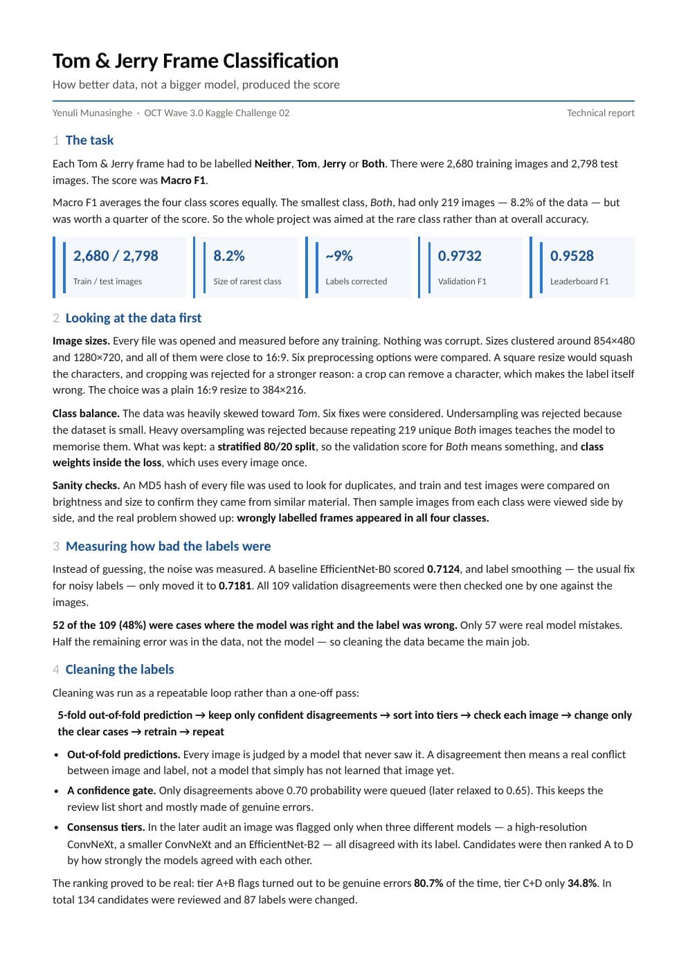 Tom and Jerry classification report: task definition, data inspection, and label audit